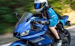 JAVAPARSER丰满白老师